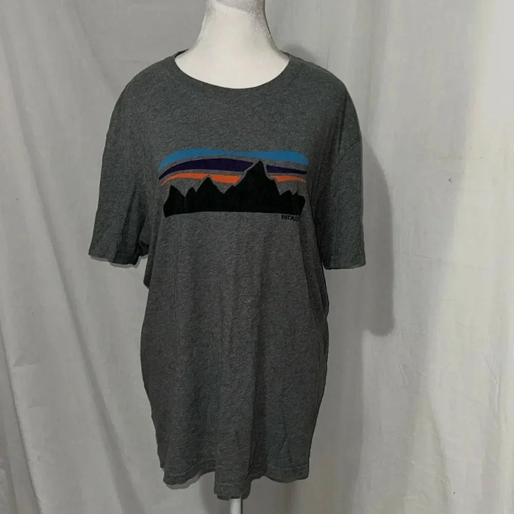 large Patagonia mountain graphic tshirt